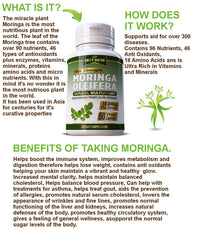 Moringa Oleifera 10000mg 60 Vegetarian Capsules Weight Loss Fat Loss